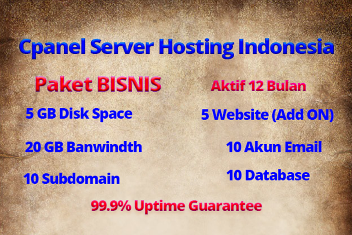 Cpanel Server Hosting Indonesia Termurah - Paket BISNIS