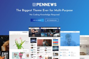 PenNews - Multi Purpose AMP WordPress Theme