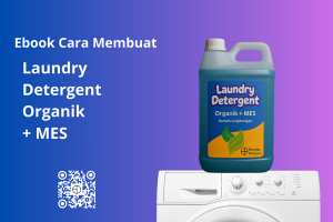 Ebook Laundry Detergent Organik + MES Panduan Cara Membuat Deterjen Laundry Ramah Lingkungan