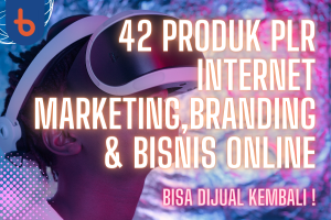 42 Produk PLR Internet marketing, Brandung & Bisnis Online