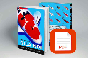 E-Book GILA KOI