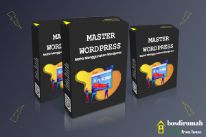 PLR Master Wordpress