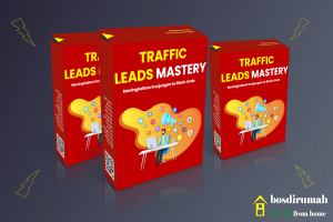 PLR Traffic Leads Mastery