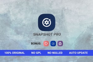 WPMU DEV Snapshot Pro Wordpress Plugin - Original