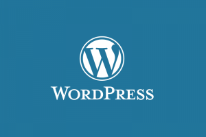 Design Web Wordpress (Divi)
